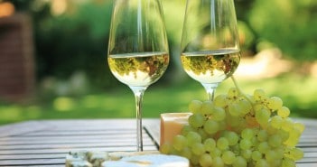 Wein Gardasee